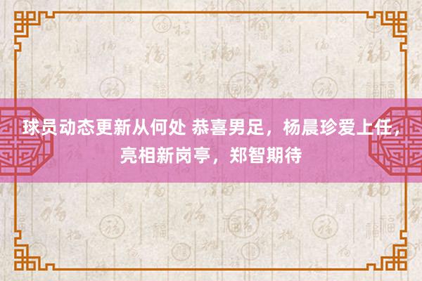 球员动态更新从何处 恭喜男足，杨晨珍爱上任，亮相新岗亭，郑智期待