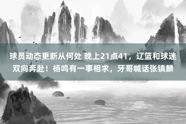 球员动态更新从何处 晚上21点41，辽篮和球迷双向奔赴！杨鸣有一事相求，牙哥喊话张镇麟