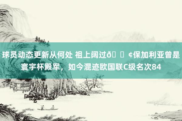 球员动态更新从何处 祖上阔过😢保加利亚曾是寰宇杯殿军，如今混迹欧国联C级名次84