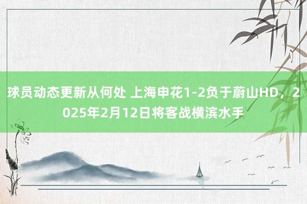 球员动态更新从何处 上海申花1-2负于蔚山HD，2025年2月12日将客战横滨水手