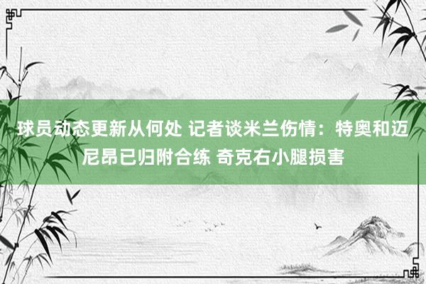 球员动态更新从何处 记者谈米兰伤情：特奥和迈尼昂已归附合练 奇克右小腿损害