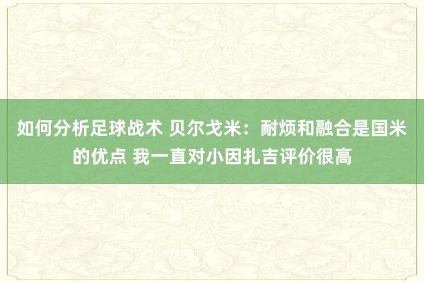 如何分析足球战术 贝尔戈米：耐烦和融合是国米的优点 我一直对小因扎吉评价很高