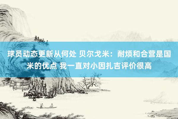 球员动态更新从何处 贝尔戈米：耐烦和合营是国米的优点 我一直对小因扎吉评价很高