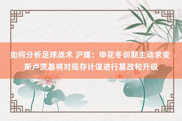 如何分析足球战术 沪媒：申花冬训期主动求变 斯卢茨基将对现存计谋进行篡改和升级