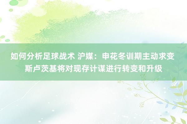 如何分析足球战术 沪媒：申花冬训期主动求变 斯卢茨基将对现存计谋进行转变和升级