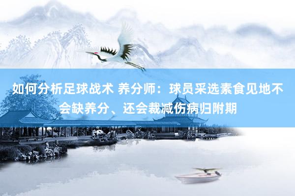 如何分析足球战术 养分师：球员采选素食见地不会缺养分、还会裁减伤病归附期