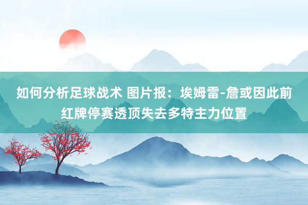 如何分析足球战术 图片报：埃姆雷-詹或因此前红牌停赛透顶失去多特主力位置