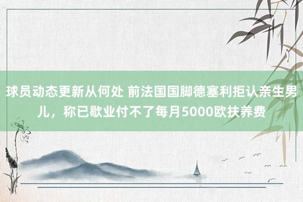 球员动态更新从何处 前法国国脚德塞利拒认亲生男儿，称已歇业付不了每月5000欧扶养费