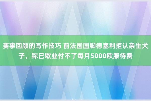 赛事回顾的写作技巧 前法国国脚德塞利拒认亲生犬子，称已歇业付不了每月5000欧服待费