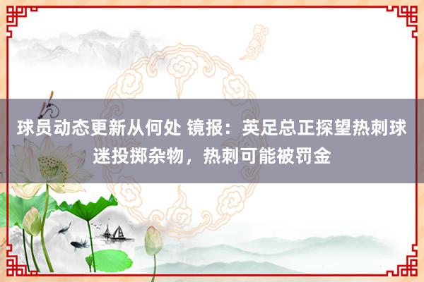 球员动态更新从何处 镜报：英足总正探望热刺球迷投掷杂物，热刺可能被罚金