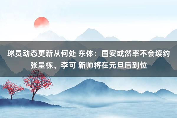 球员动态更新从何处 东体：国安或然率不会续约张呈栋、李可 新帅将在元旦后到位