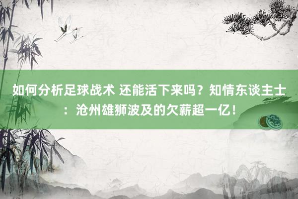 如何分析足球战术 还能活下来吗？知情东谈主士：沧州雄狮波及的欠薪超一亿！