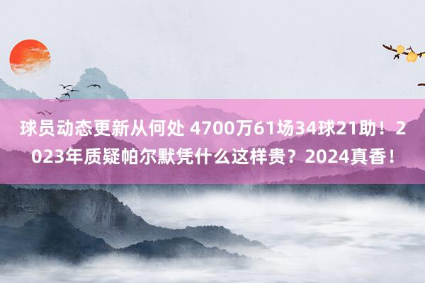 球员动态更新从何处 4700万61场34球21助！2023年质疑帕尔默凭什么这样贵？2024真香！