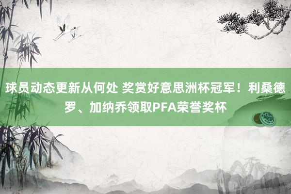 球员动态更新从何处 奖赏好意思洲杯冠军！利桑德罗、加纳乔领取PFA荣誉奖杯