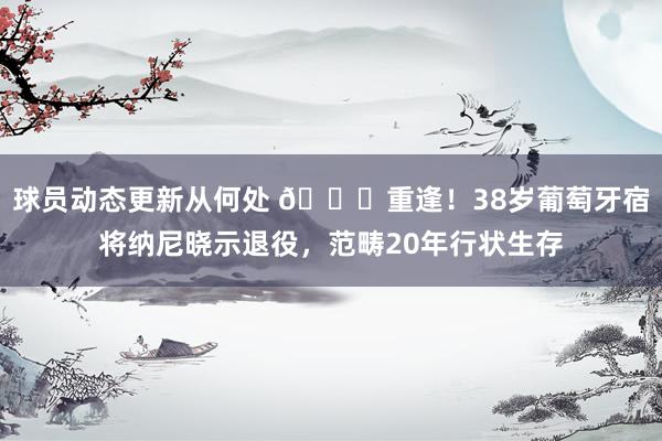 球员动态更新从何处 👋重逢！38岁葡萄牙宿将纳尼晓示退役，范畴20年行状生存