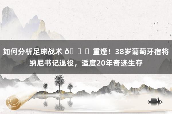 如何分析足球战术 👋重逢！38岁葡萄牙宿将纳尼书记退役，适度20年奇迹生存