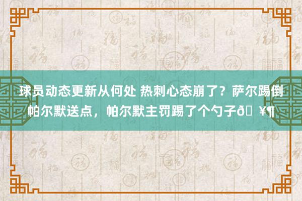 球员动态更新从何处 热刺心态崩了？萨尔踢倒帕尔默送点，帕尔默主罚踢了个勺子🥶