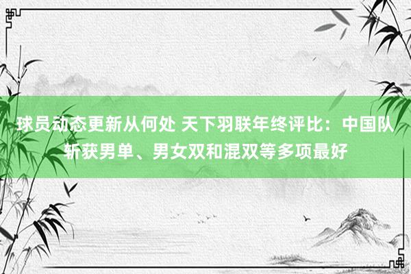 球员动态更新从何处 天下羽联年终评比：中国队斩获男单、男女双和混双等多项最好